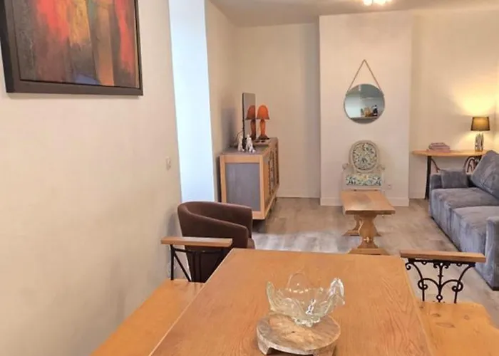 Appartement Panorama Du Sanctuaire 400 Metres De La Grotte 8 Personnes 3chambres Wifi Lourdes